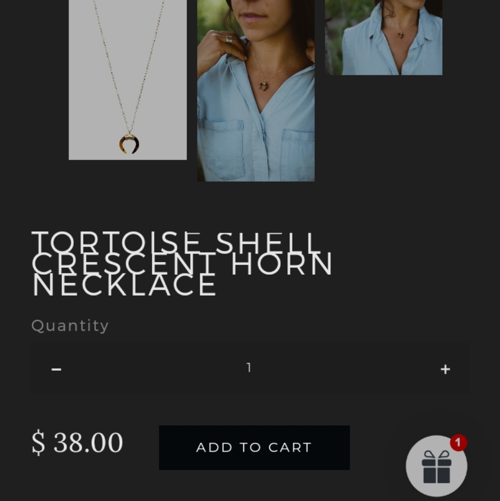 Tortoise shell crescent horn necklace